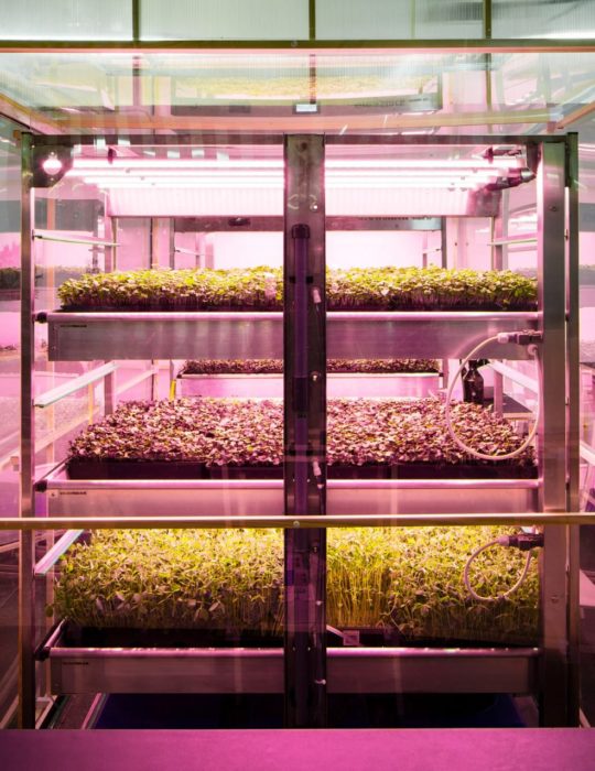 Ikea’s Teaching You How to Use a Hydroponic Vertical Farm