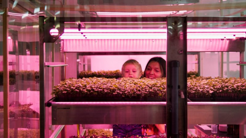 ikeas space hydroponic vertical farm