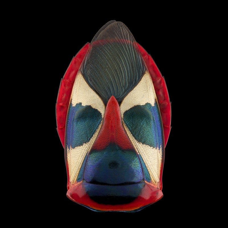pascal goet insect mask