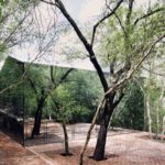 tatiana bilbao woodland retreat mexico