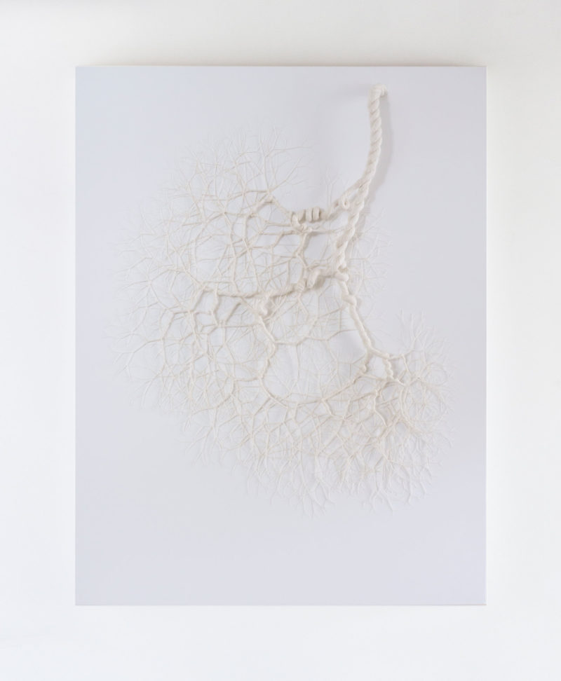 janaina mello landini rope art