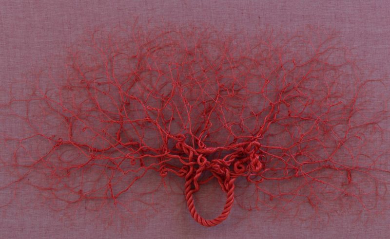 janaina mello landini rope art