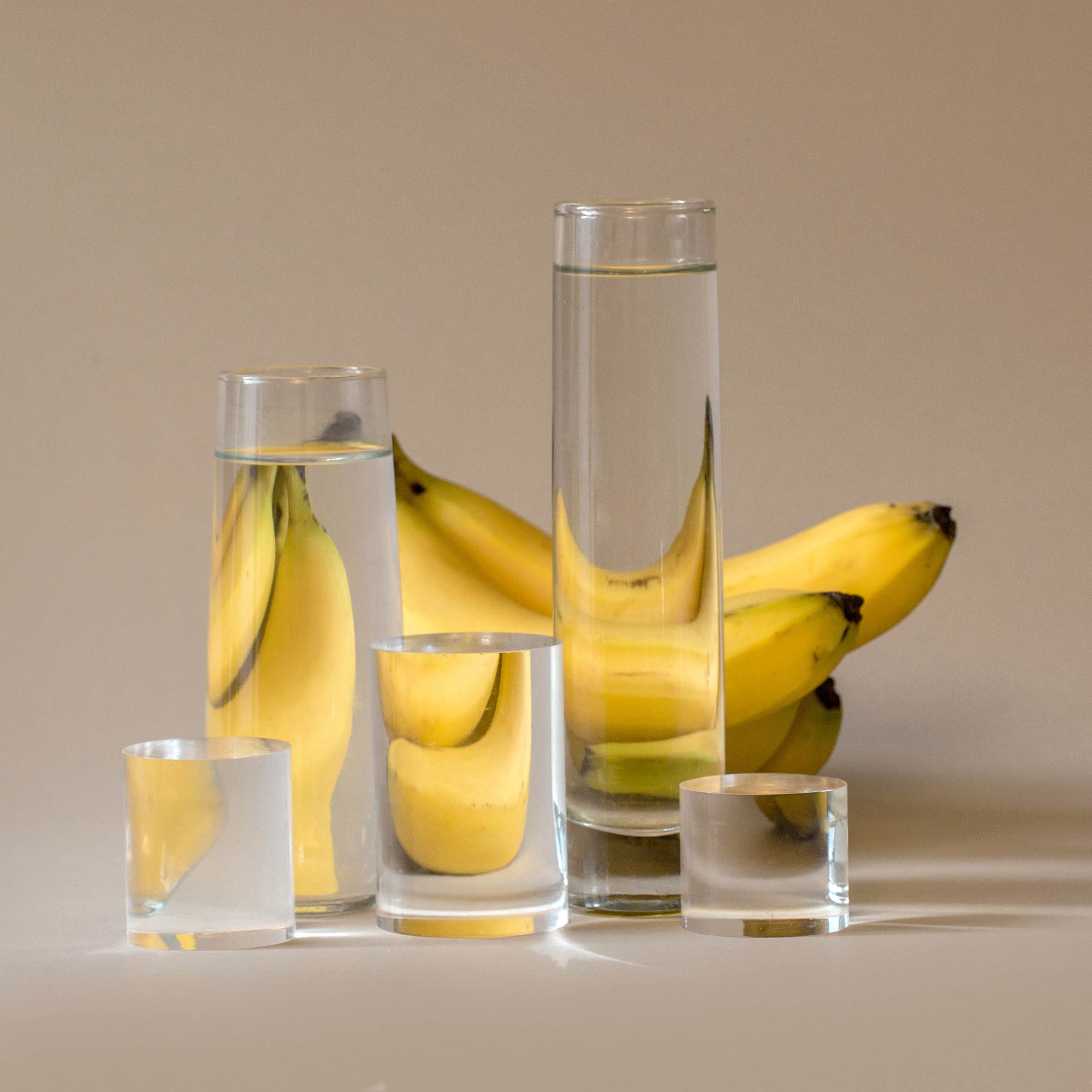 distorded susan sakoff still life photography