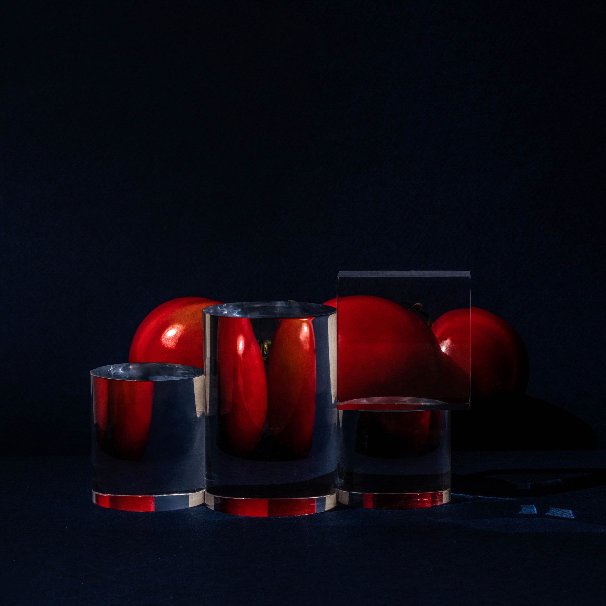 distorded susan sakoff still life photography