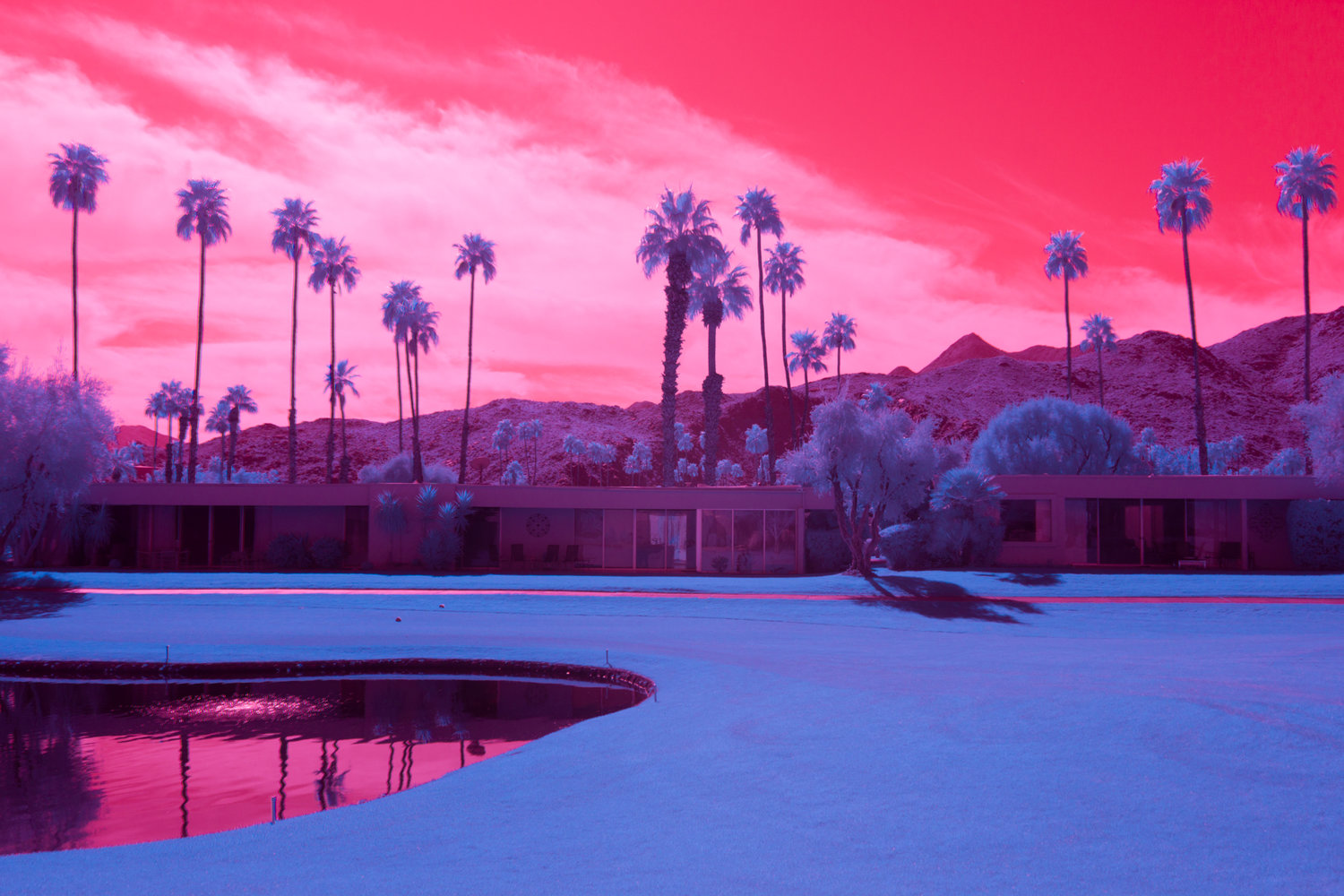 kate ballis infra realism of palm springs