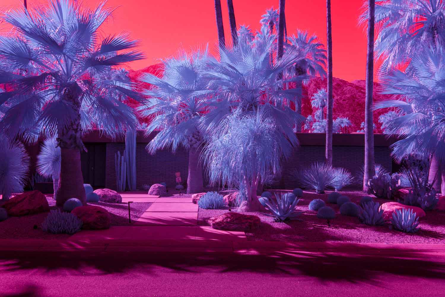 kate ballis infra realism of palm springs
