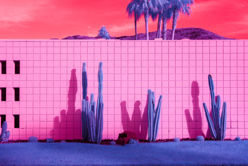 kate ballis infra realism of palm springs