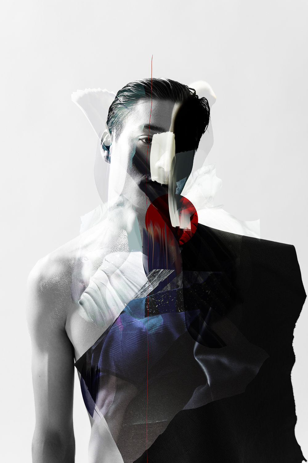 louise mertens digital collage