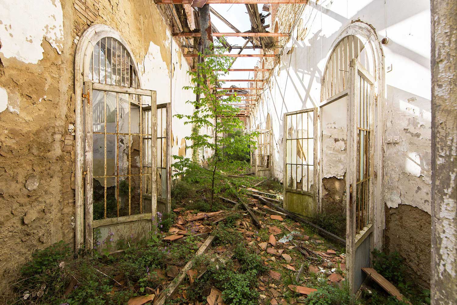 naturalia jonk abandoned places