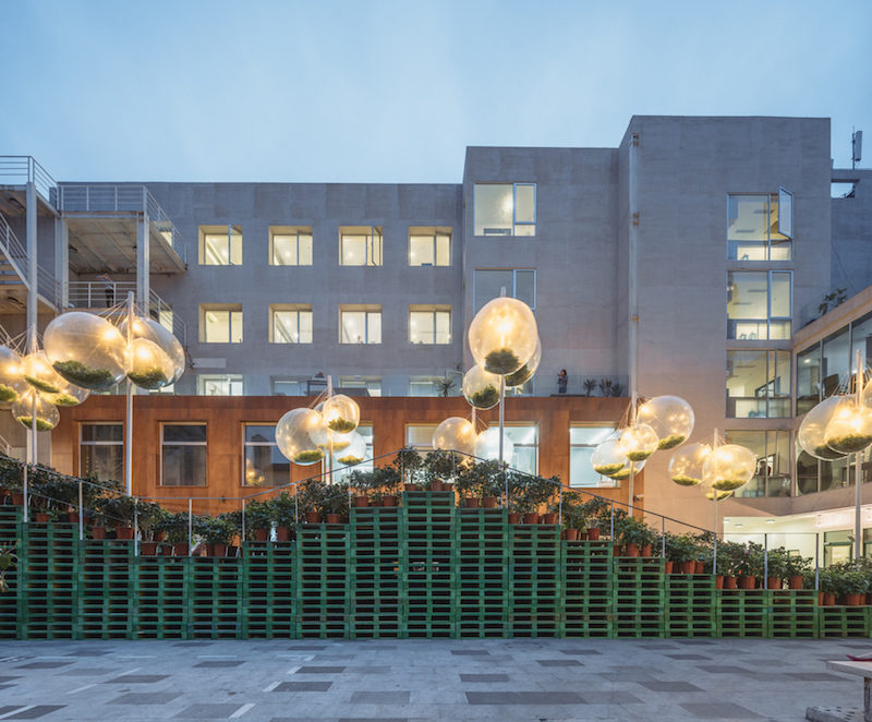 urban garden