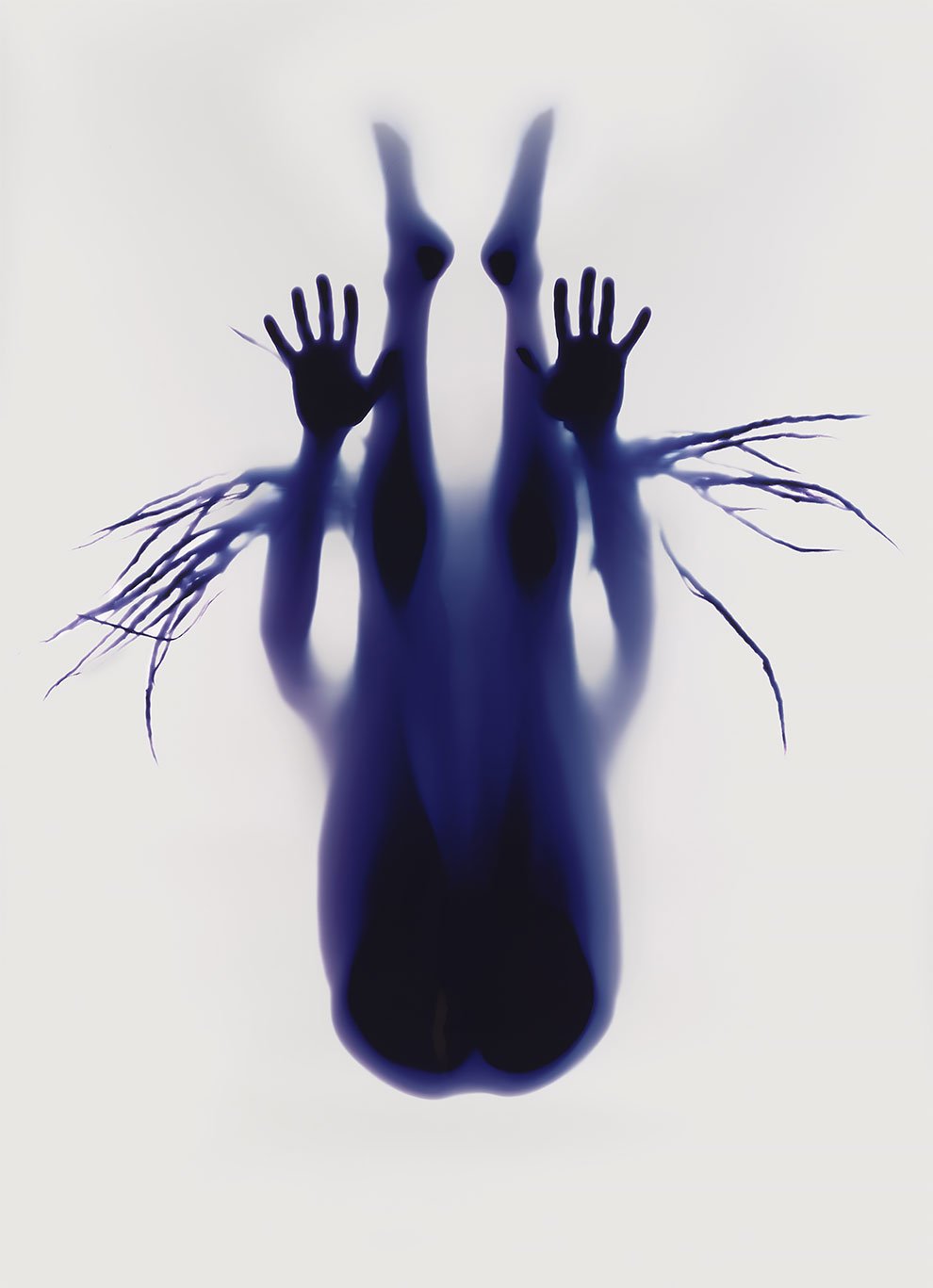 yoga photograms by british artists rob and nick carter