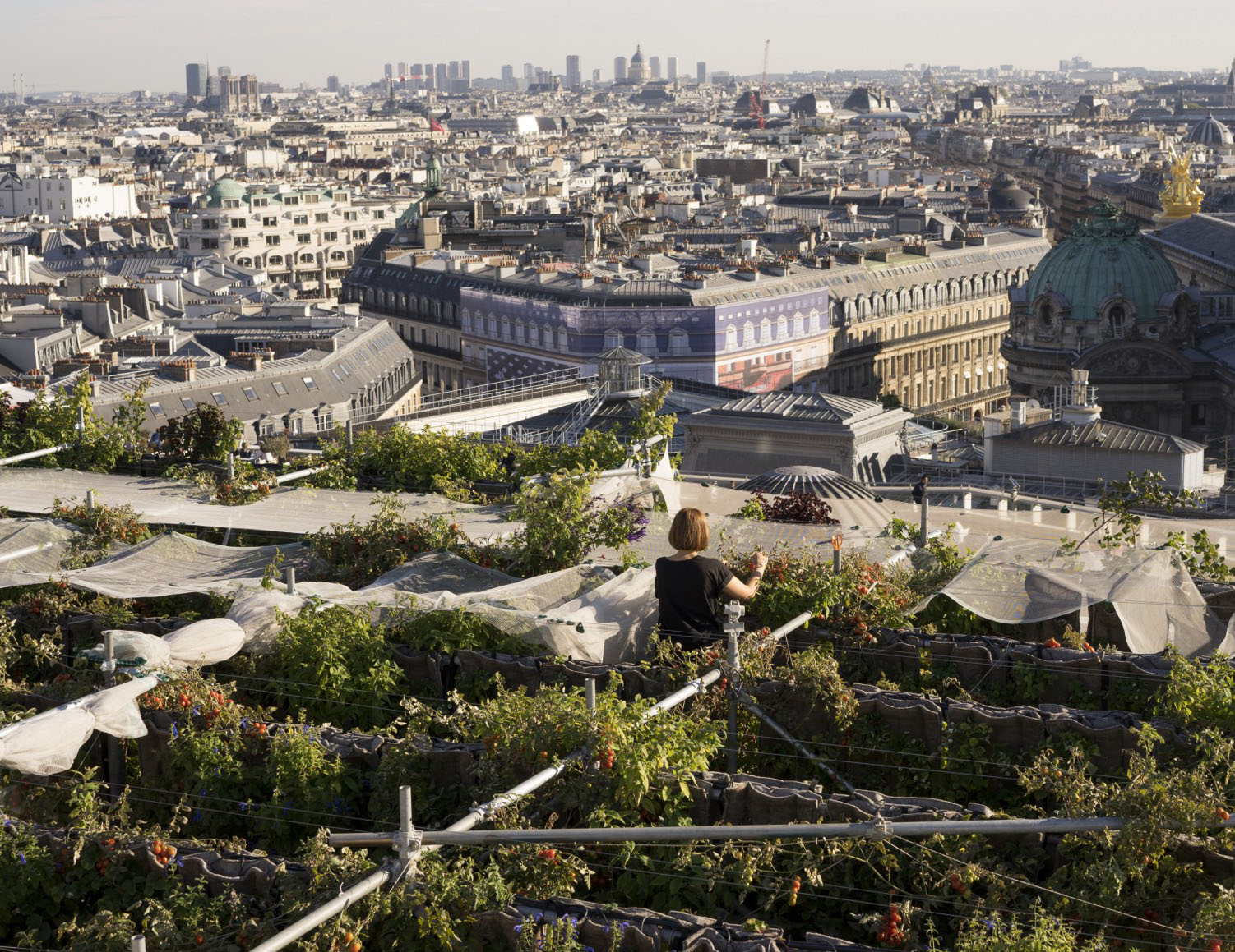 Secret Paris: Free Views from Galleries Lafayette Rooftop, La Terrasse -  PhilaTravelGirl