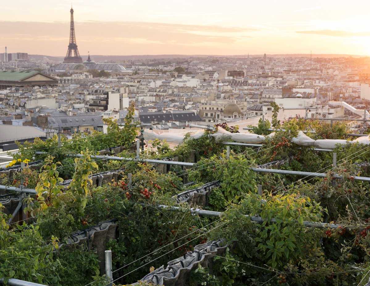 Secret Paris: Free Views from Galleries Lafayette Rooftop, La Terrasse -  PhilaTravelGirl