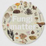 fungi matter
