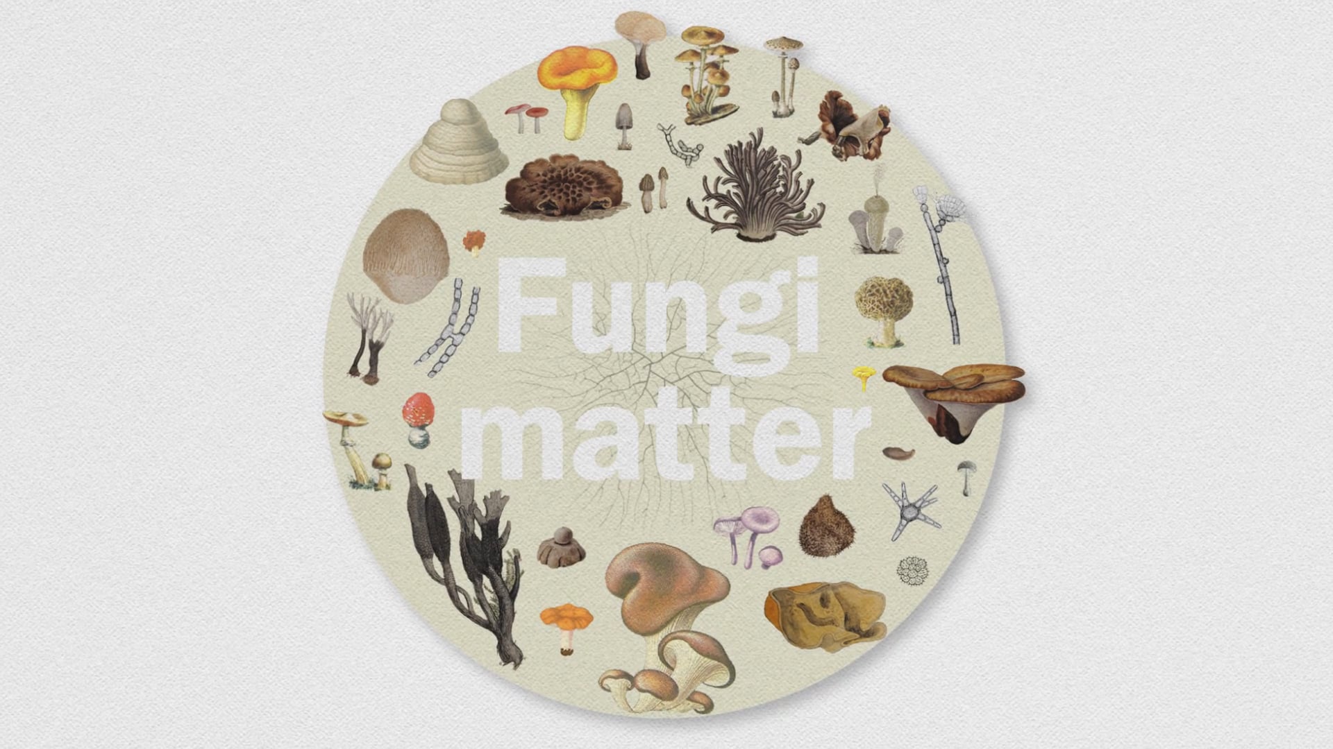 fungi matter