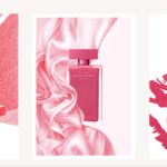 hand drawn illustration aiste stancikaite