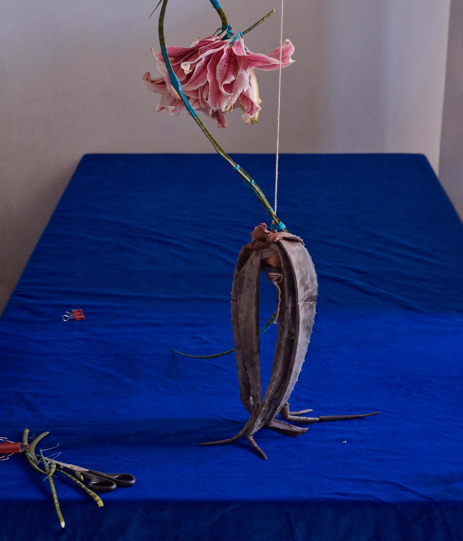 roses for mother by dominik tarabaski