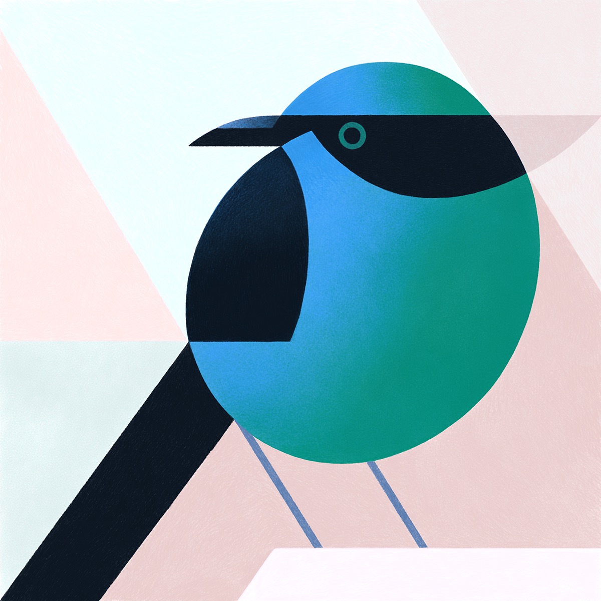 samy halims geometric birds illustrations