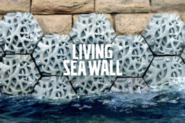 volvo living seawall sydney