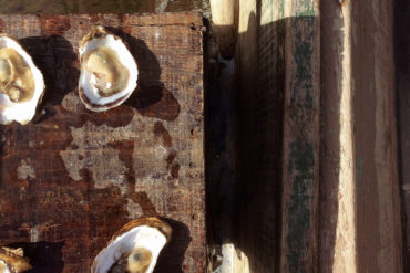 kenoa resort brazil oyster experience brazil e