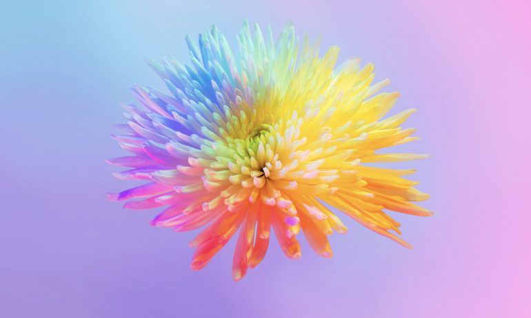 de naturation series by claire boscher neon flowers