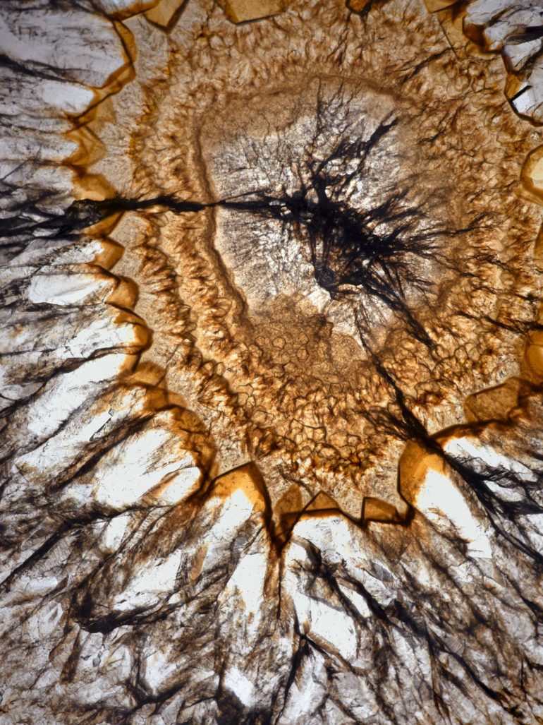the aura of agate trendland exclusive