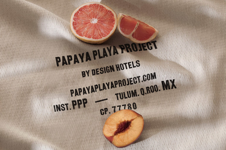 branding for papaya playa project tulum