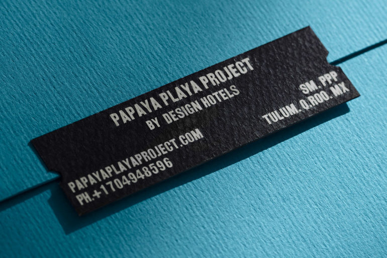 branding for papaya playa project tulum