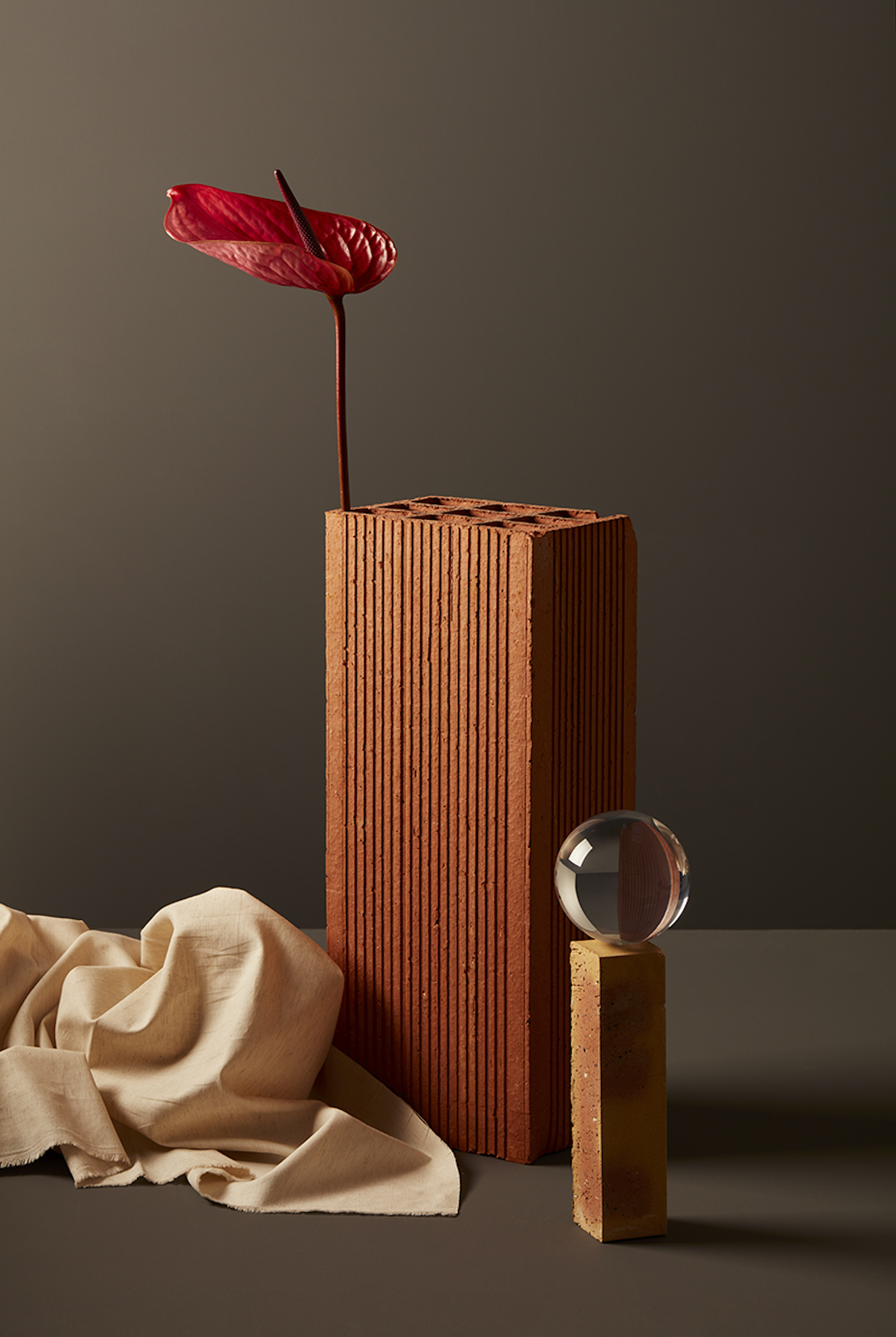 minimalist curiosité by akatre studio featured