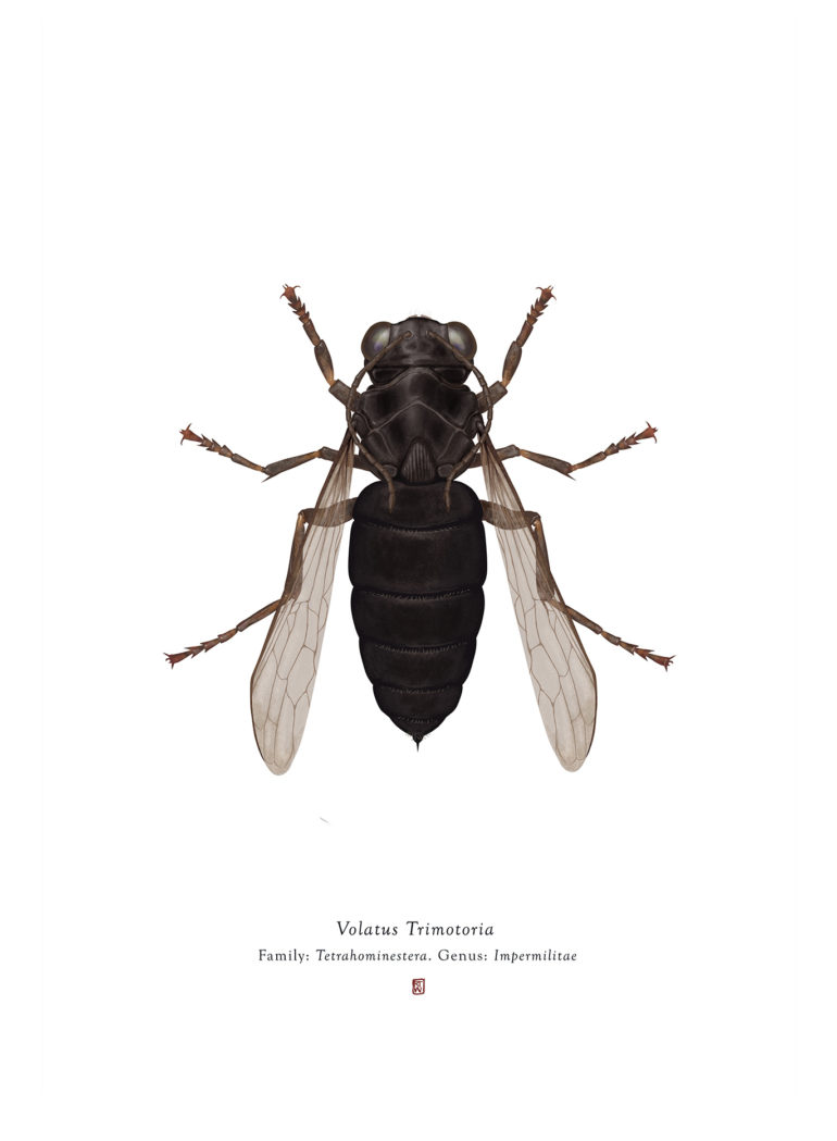 richard wilkinsons star wars insects