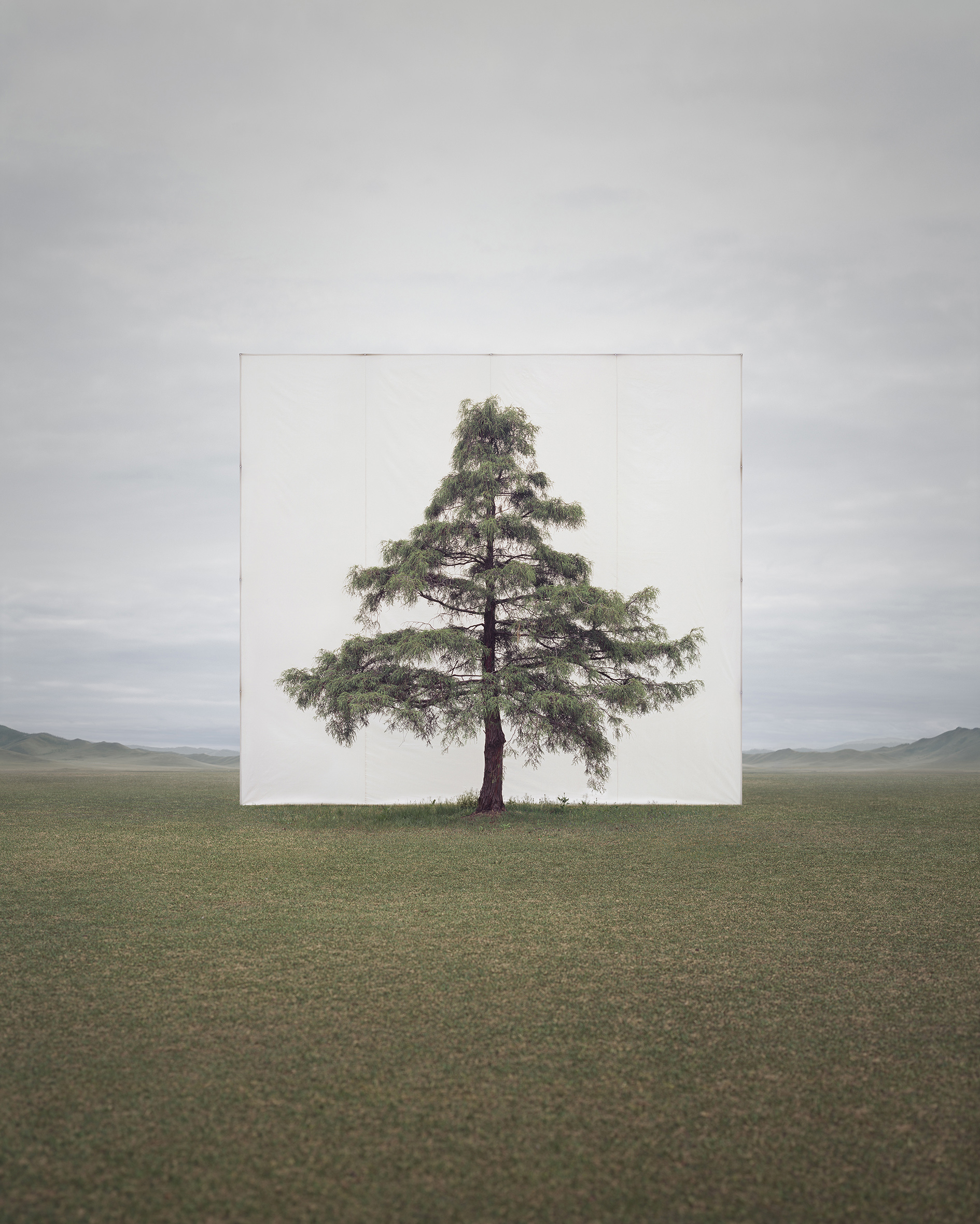 Preserving Nature by Myoung Ho Lee
