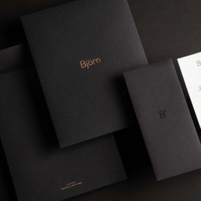 Björn elegant brand identity featured