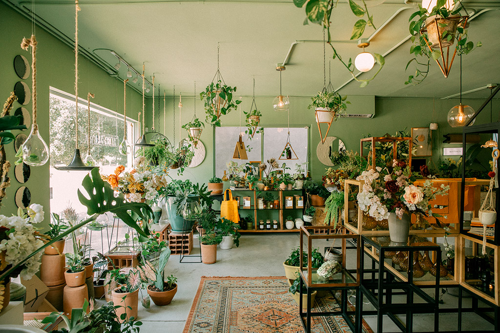 botanica_floreria_concept_store_