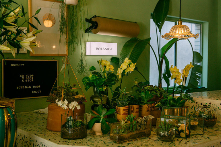 botanica_floreria_concept_store_