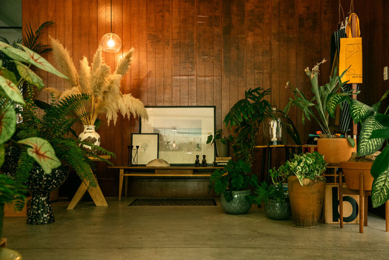 botanica_floreria_concept_store_