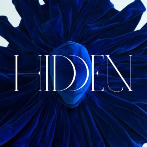 hidden by dblg vincent lapp