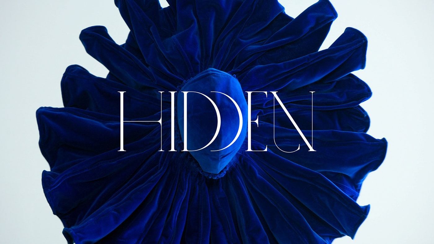 hidden by dblg vincent lapp