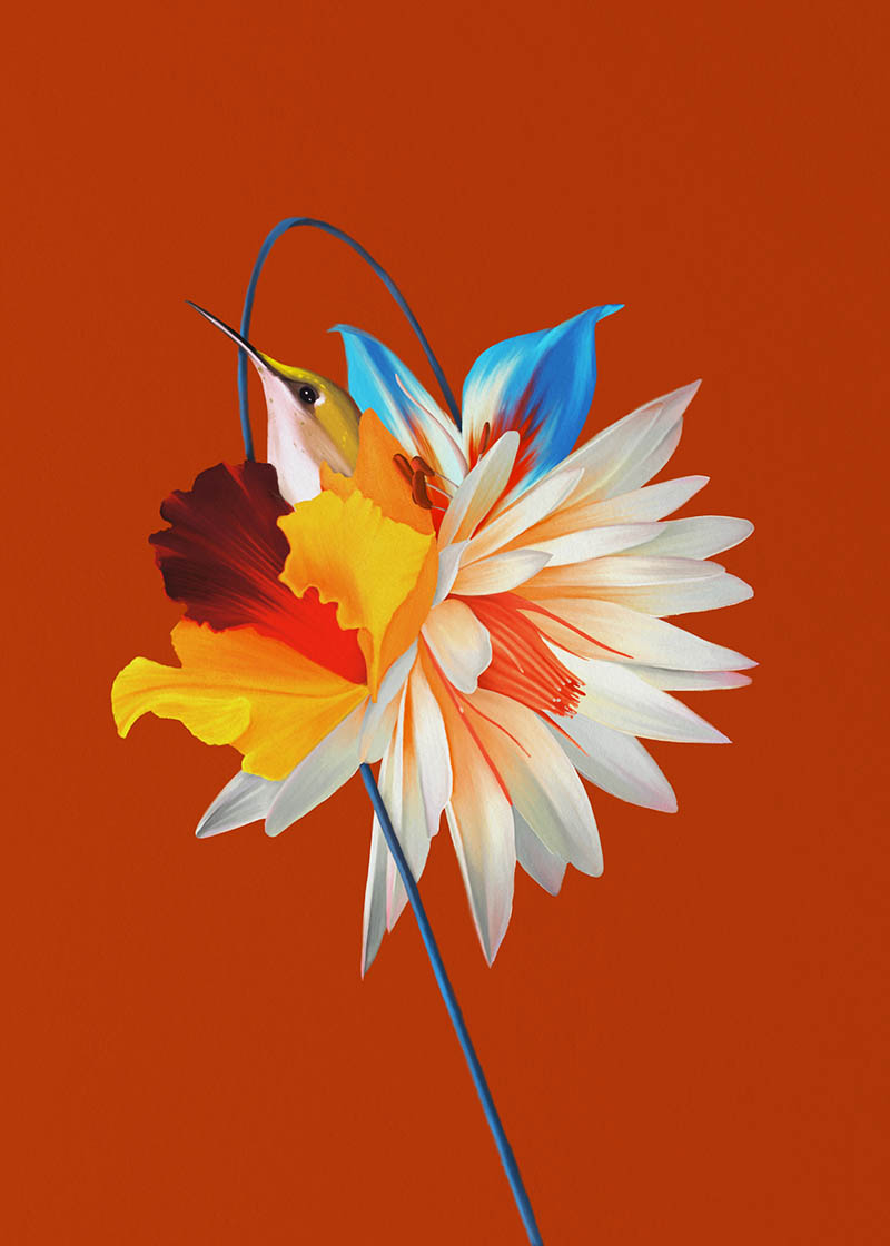 hybrid flowers illustrations by rocio montoya