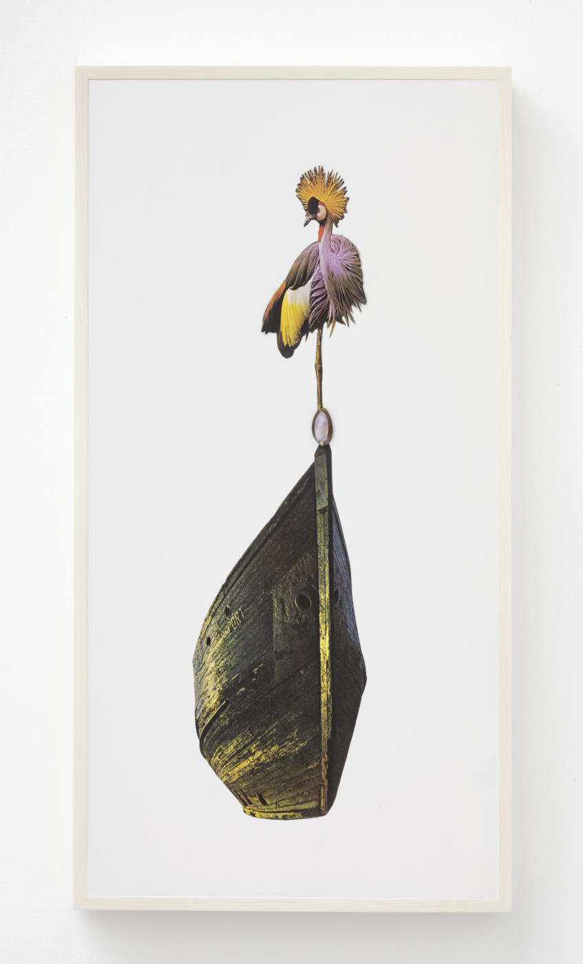 jennifer murphy in the shadow of sirius collages