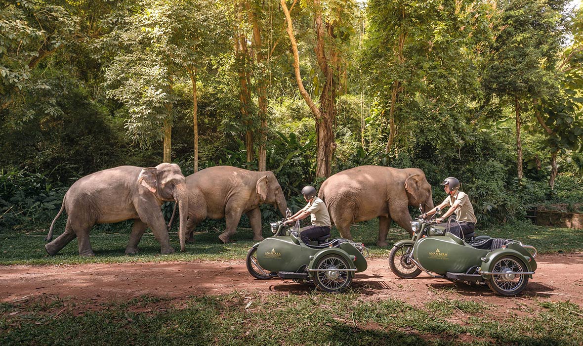 Anantara Elephant Camp