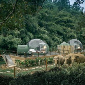 Jungle Bubbles hotel thailand