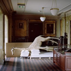 a moveable beast helge skodvin taxidermy