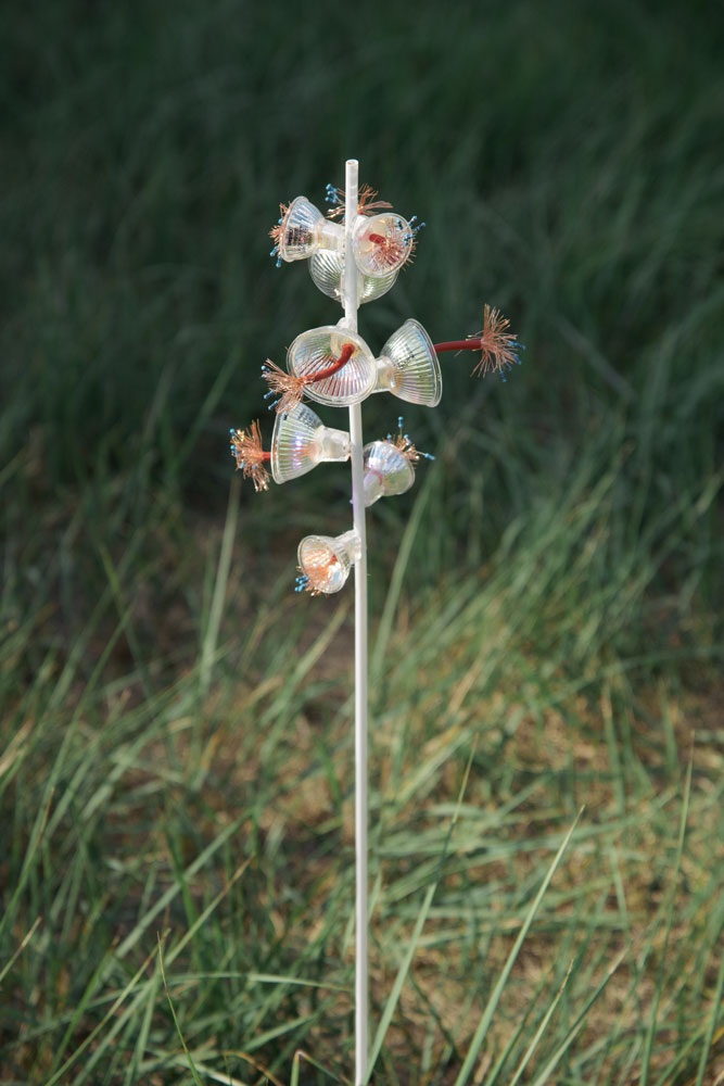 futureflowers sarah illenbergers