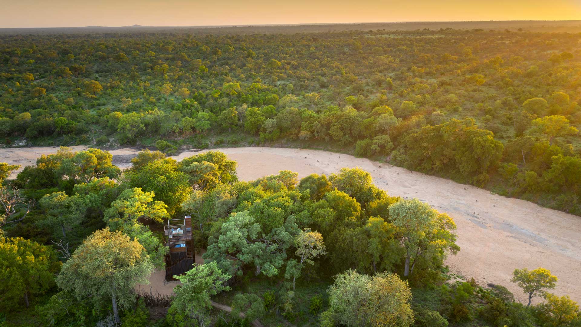 ngala treehouse andbeyond southafrica