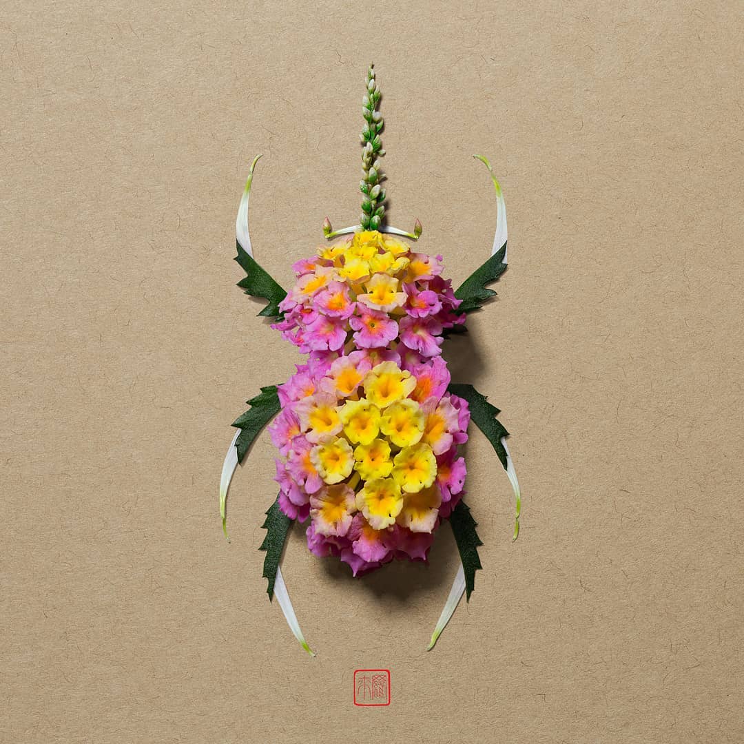 raku inoue crafts iconic fashion brand patterns from bright flower  arrangements