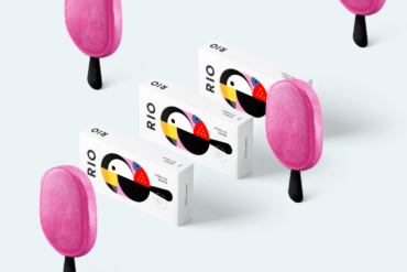 rio colorful ice cream branding concept