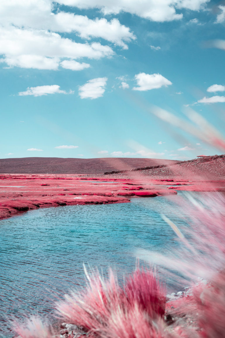 The Alpaca River Photographed by Paolo Pettigiani