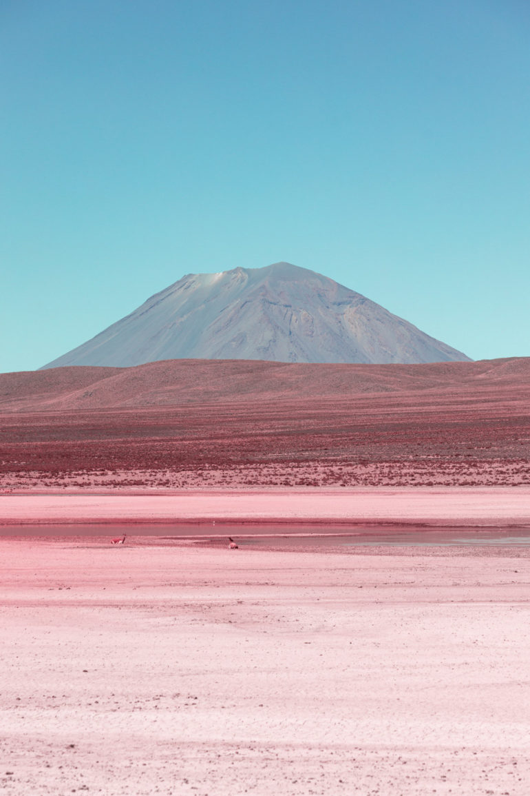 The Alpaca River Photographed by Paolo Pettigiani