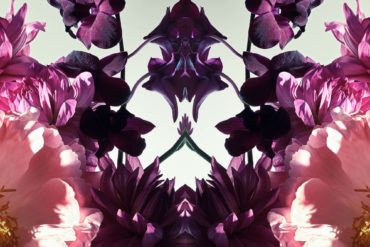 Tamara Maynes kaleidoscopic Floral collages: ‘Colliding Flora’