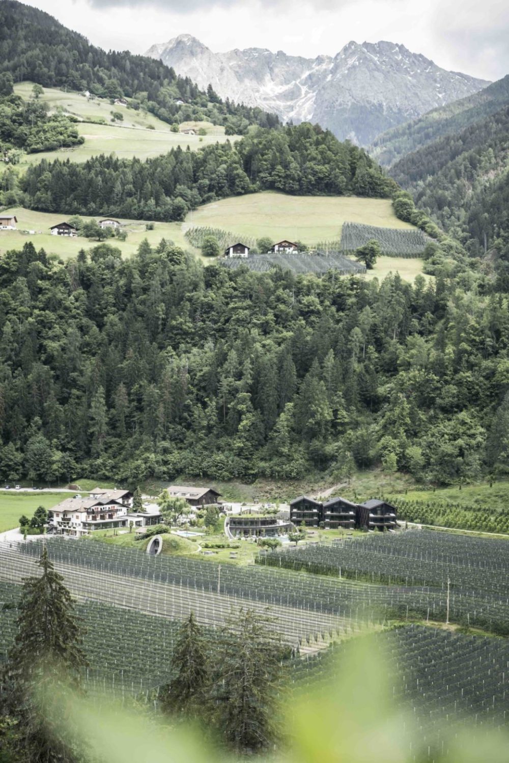 Apfelhotel Torgglerhof